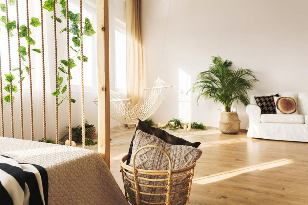 室內養(yǎng)多肉適合什么花_室內養(yǎng)多肉適合什么花盆_什么多肉適合室內養(yǎng)