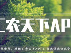 誰說北方地區(qū)不能發(fā)展珍貴樹種？強烈推薦這18個樹種！