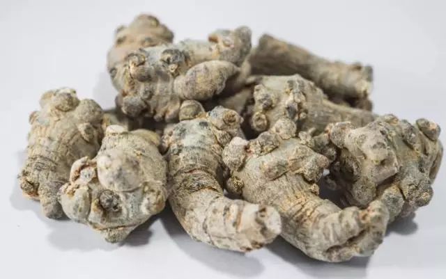 常見中藥藥材_藥材常用種有中成藥嗎_常用的中藥材有多少種