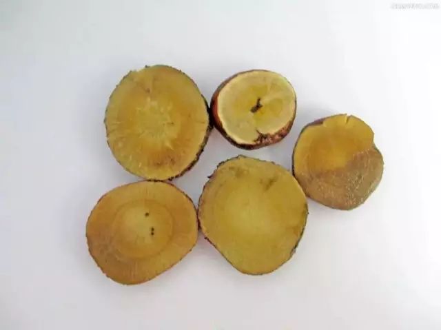 常見中藥藥材_藥材常用種有中成藥嗎_常用的中藥材有多少種