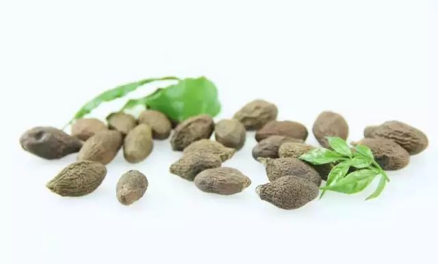 常見中藥藥材_常用的中藥材有多少種_藥材常用種有中成藥嗎