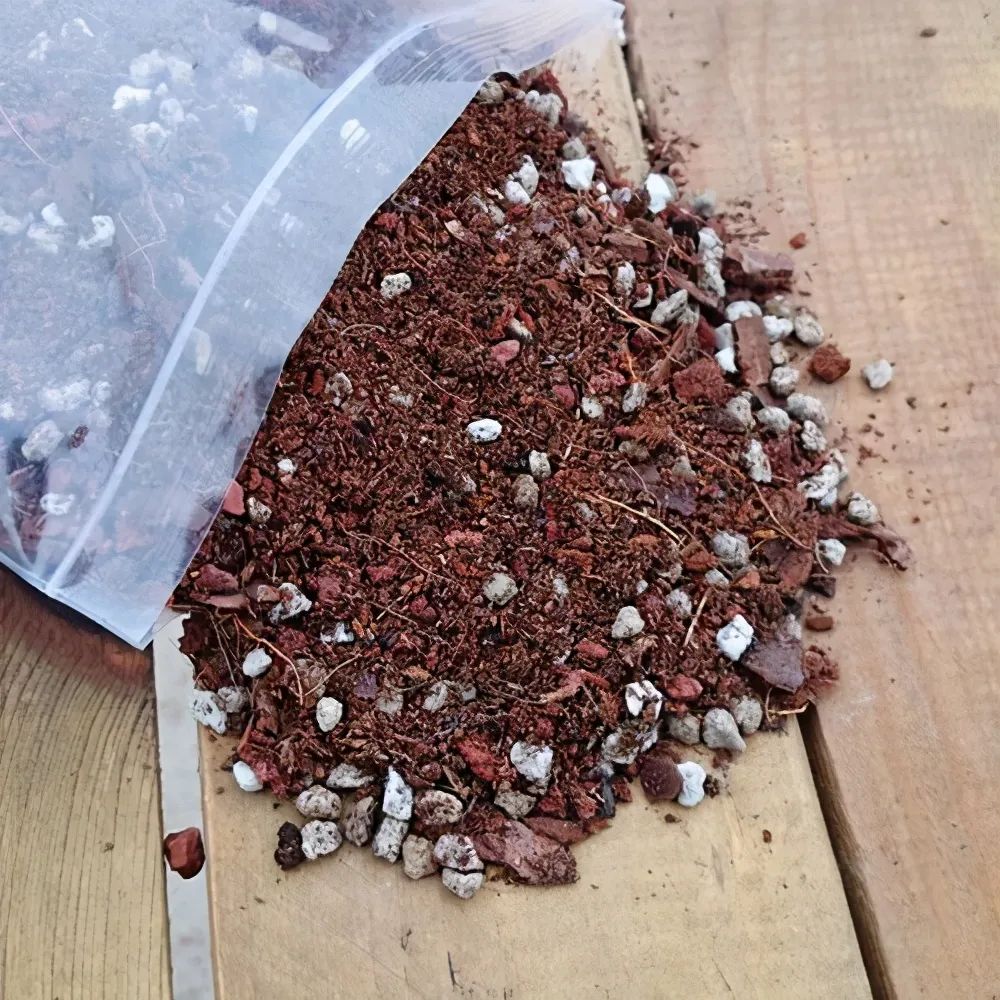 種多肉的土怎么配簡(jiǎn)單_土配種多肉簡(jiǎn)單易養(yǎng)嗎_不花錢配多肉土