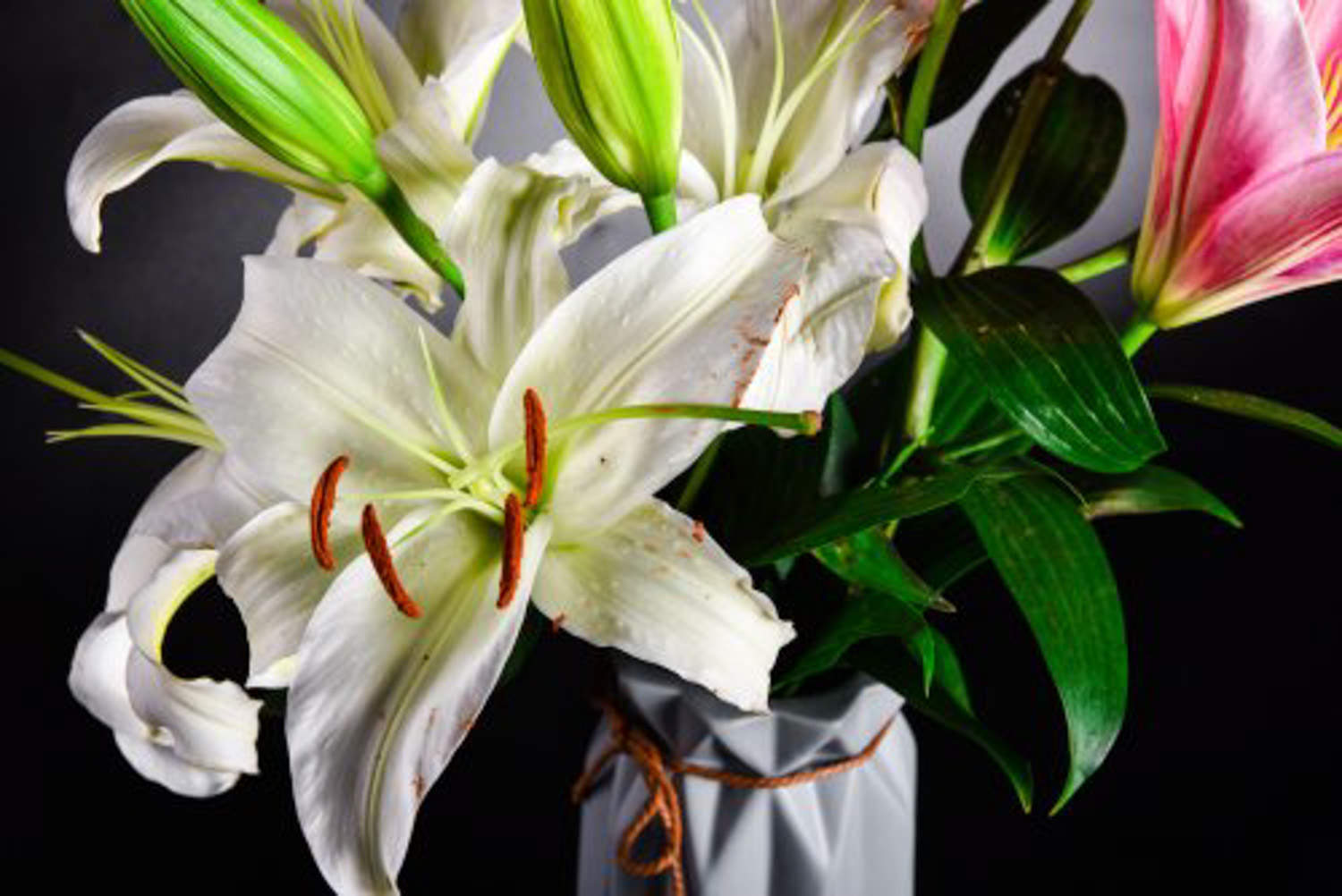 百合種植畝產(chǎn)值及利潤(rùn)_百合種植_百合種植技術(shù)與栽培管理