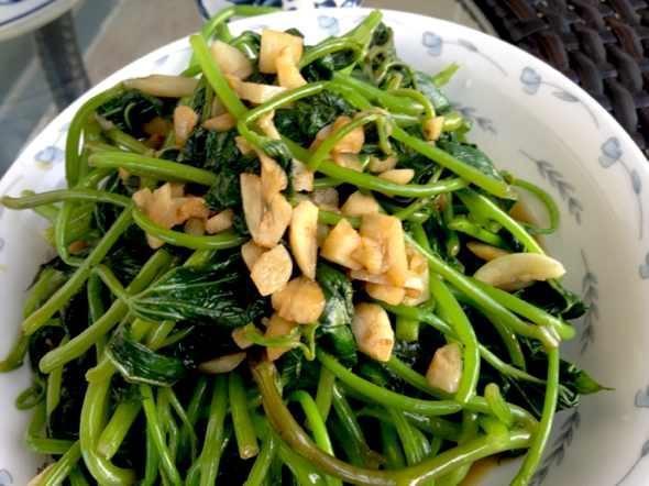 紅薯種植水培方法和技術(shù)_紅薯怎樣水培種植技術(shù)_水培紅薯的種植方法