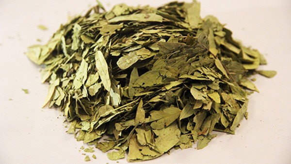 藥材除濕氣好中藥有哪些_藥材除濕氣好中醫(yī)治療嗎_除濕氣最好中藥材