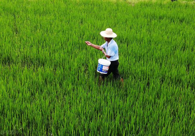 哪些農(nóng)藥屬于堿性農(nóng)藥_農(nóng)藥呈堿性是什么意思_堿性的農(nóng)藥有哪些