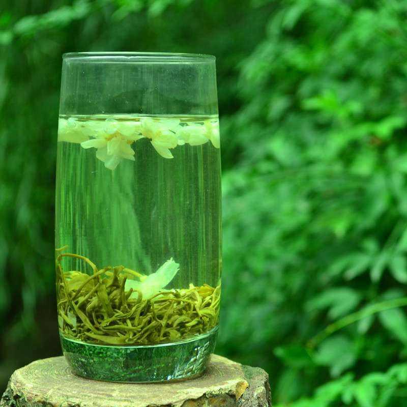 綠植養(yǎng)家里有什么作用_家里養(yǎng)什么綠植對身體好_養(yǎng)綠植給身心帶來的好處