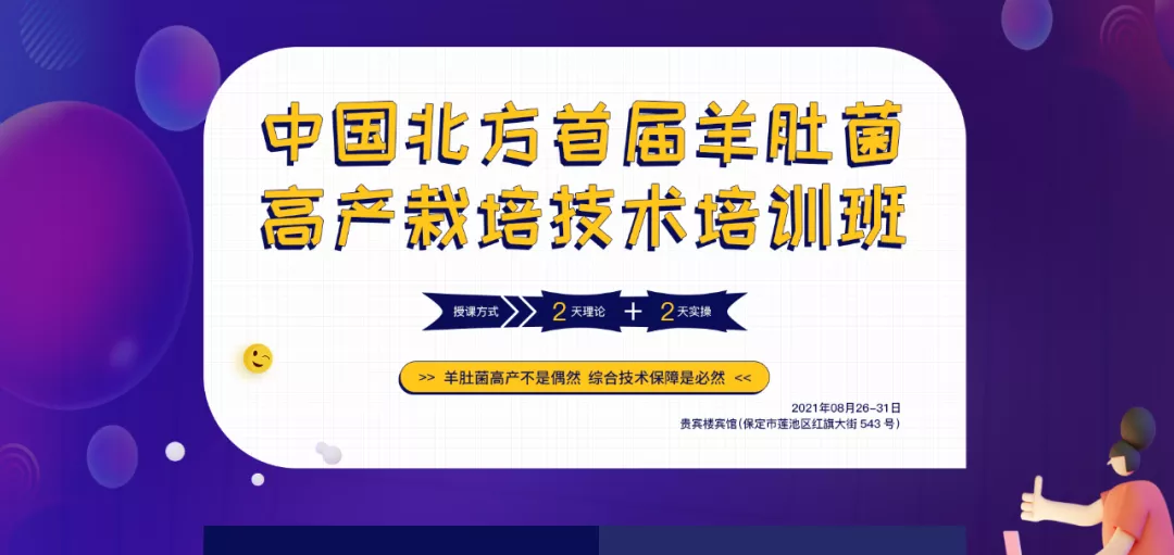 羊肚菌種植技術(shù)_羊肚菌種植技術(shù)書_種植羊肚菌肚技術(shù)方法