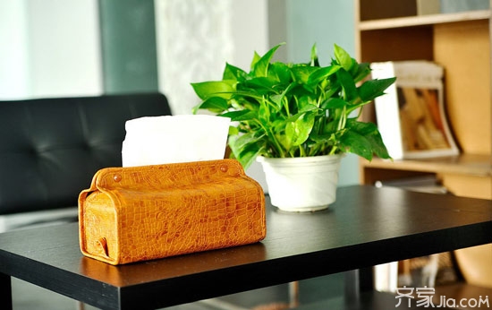 適合室內(nèi)養(yǎng)殖的綠植有哪些_室內(nèi)養(yǎng)殖的綠植_養(yǎng)殖室內(nèi)綠植有哪些